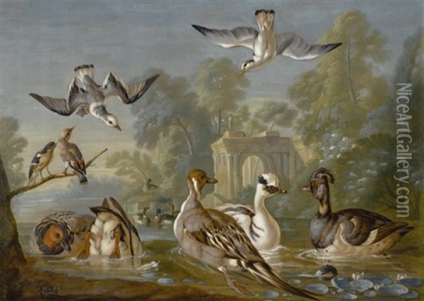 Waterfowl On A Pond With Other Birds In A Parkland Setting Oil Painting - Pieter Casteels III