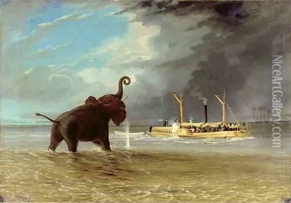 The 'Ma Roberts' and an Elephant in the Shallows, Lower Zambezi 1859 Oil Painting - Thomas Baines