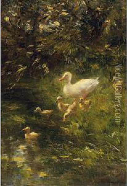 Ducks On The Waterfront Oil Painting - Willem Maris