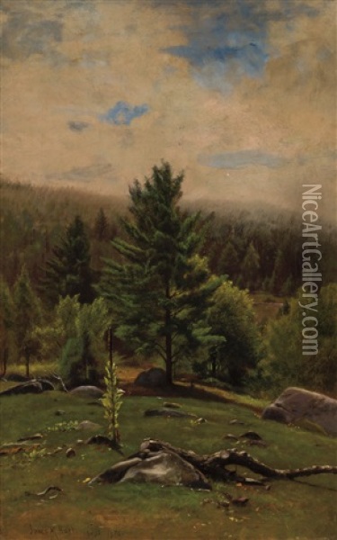 Landscape With Rocks And Trees Oil Painting - James McDougal Hart