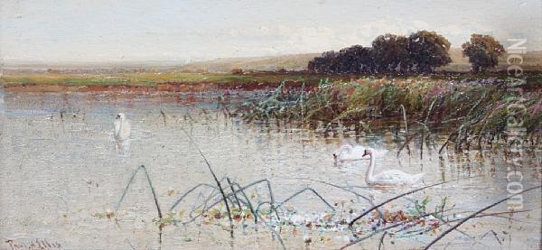 Swans On A River Oil Painting - Paul H. Ellis