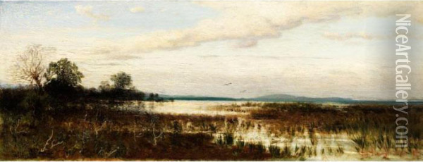 Ansicht Vom Chiemsee Oil Painting - August Schaeffer von Wienwald