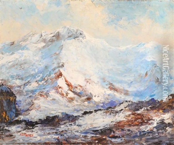 Le Mont Blanc Vu Du Mont Joly (mont D'arbois) Oil Painting - Paul Ange Nocquet