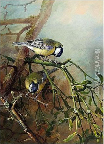 Blue Tits Oil Painting - Archibald Thorburn