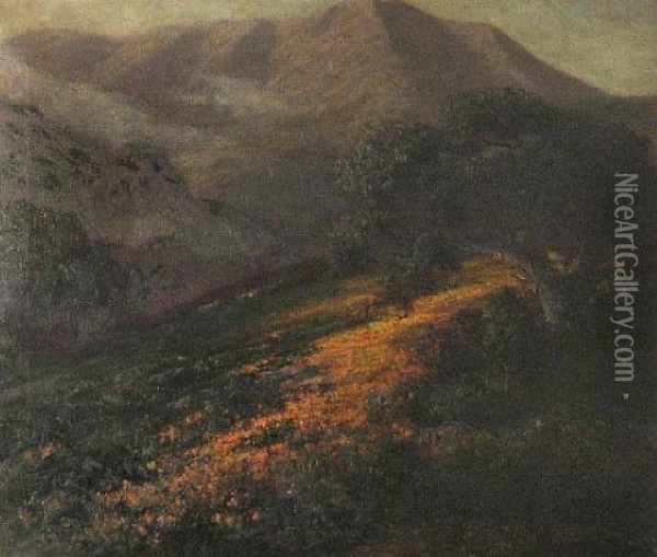 Poppies On A Hillside With Mount Tamalpais Beyond Oil Painting - Jules R. Mersfelder