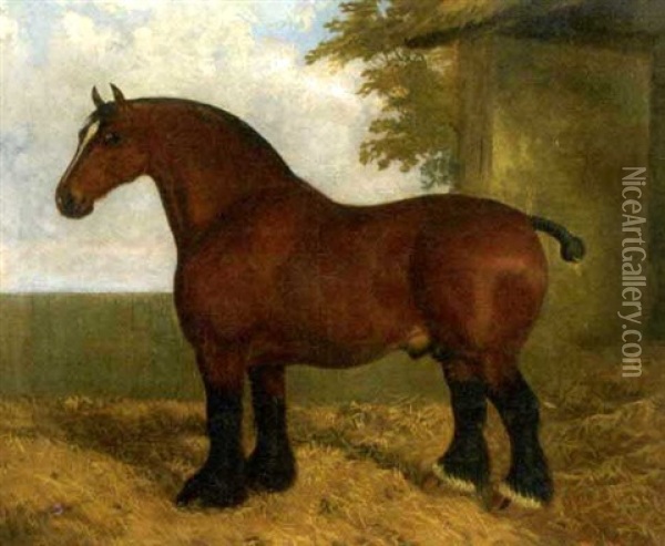 Honest Tom, A Shire Stallion Oil Painting - Albert Clark