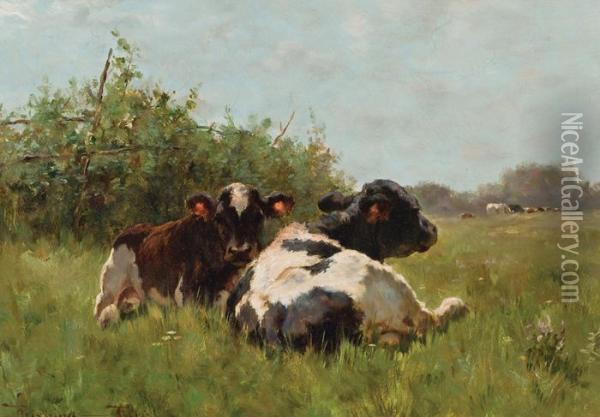 Cows In A Pasture Oil Painting - Henry Singlewood Bisbing