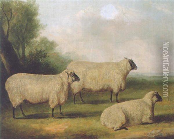 Three Sheep In A Landscape Oil Painting - William Henry Davis