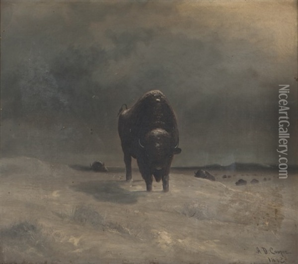 Buffalo Leading A Herd Oil Painting - Astley David Middleton Cooper