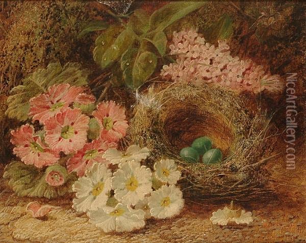 Primroses And A Birds Nest On A Mossy Bank Oil Painting - Oliver Clare