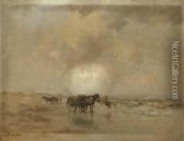 Shellgatherer On The Beach Oil Painting - Willem George Fred. Jansen