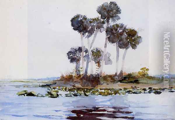 St. John's River, Florida I Oil Painting - Winslow Homer