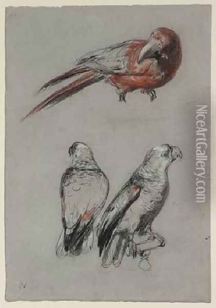 Three Parrots Oil Painting - Richard Parkes Bonington