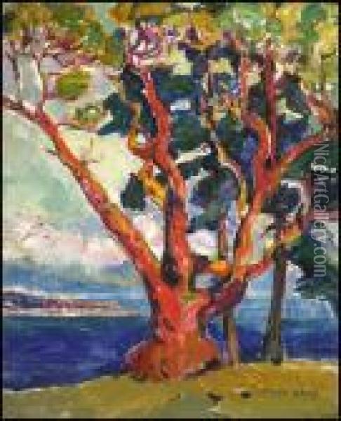 Arbutus Tree / Untitled Portrait Verso Oil Painting - Emily M. Carr