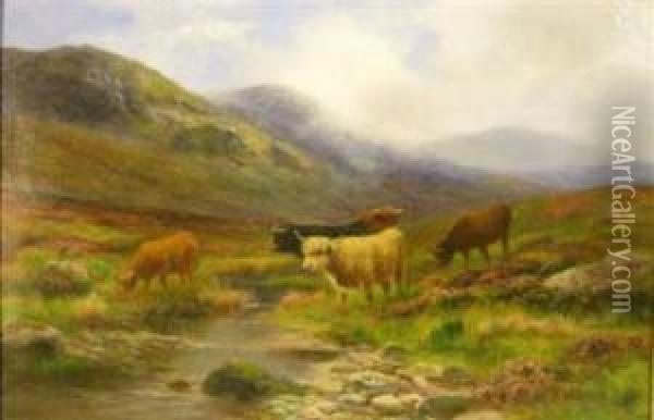 Highland Cattle Grazing Oil Painting - Daniel Sherrin