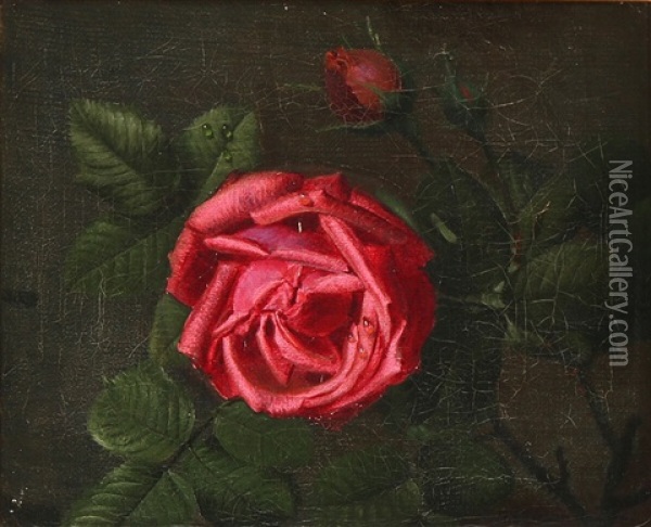 Still Life With A Red Rose With Raindrops On The Petals Oil Painting - Otto Didrik Ottesen