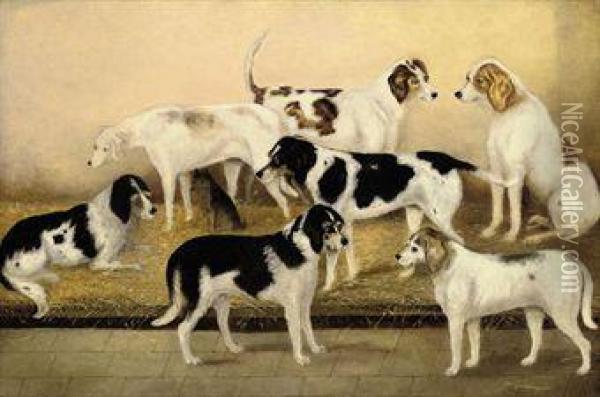 Favourite Hounds With A Favourite Terrier Oil Painting - Henry Carter