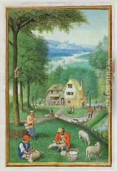 June shearing sheep, from a Book of Hours Oil Painting - Simon Bening