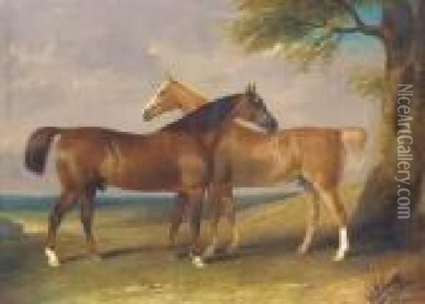Two Horses Resting Oil Painting - Henry Barraud