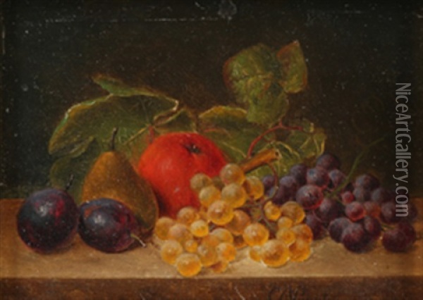 Frukt-stilleben Oil Painting - Christian August Printz