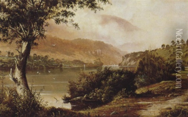 Derwent River, New Norfolk, Tasmania Oil Painting - James Haughton Forrest