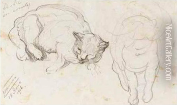 Two Studies Of Sleeping Cats: 'fi-fils En Couche' And 'go-mi Et Ses Petits' Oil Painting - Nikolai Aleksandrovich Tarkhov