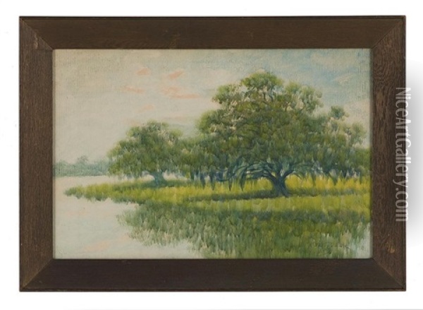 Summer Afternoon On The Bayou Oil Painting - Alexander John Drysdale