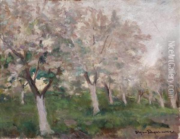 Trees In Blossom Oil Painting - Stefan Filipkiewicz