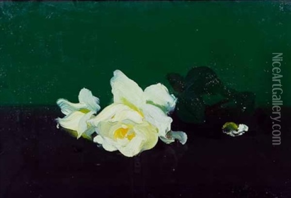 White Rose Oil Painting - Stuart James Park