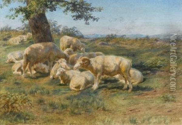Sheeps In The Pasture Oil Painting - Rosa Bonheur