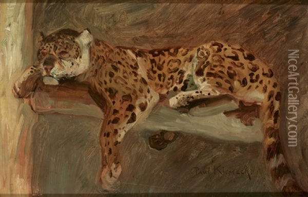 Schlafender Jaguar Oil Painting - Paul Hans Klimsch