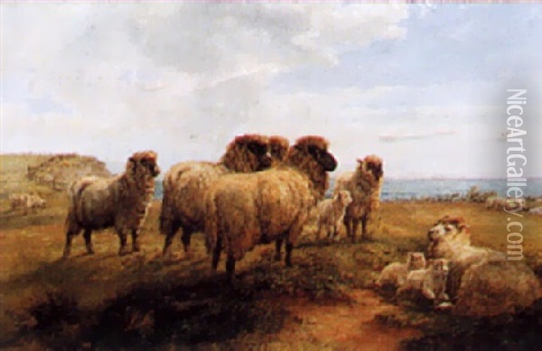 Sheep Resting On A Cliff Oil Painting - Walter Henry Pigott