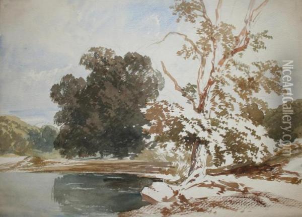 An Album Of Tree Studies,
Landscape Sketches And Architectural Details Fifty Ones Leaves Of Wash Drawings Oil Painting - James Duffield Harding