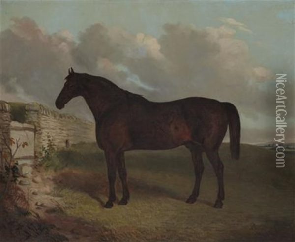 Study Of A Horse In Landscape Oil Painting - Richard Whitford Jr.