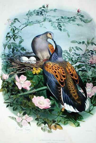 A Pair of Turtle Doves Oil Painting - Edouard Travies