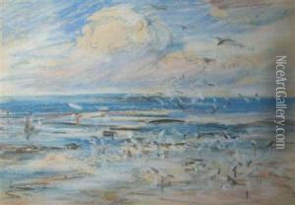 Seagulls Oil Painting - Peter Wishart