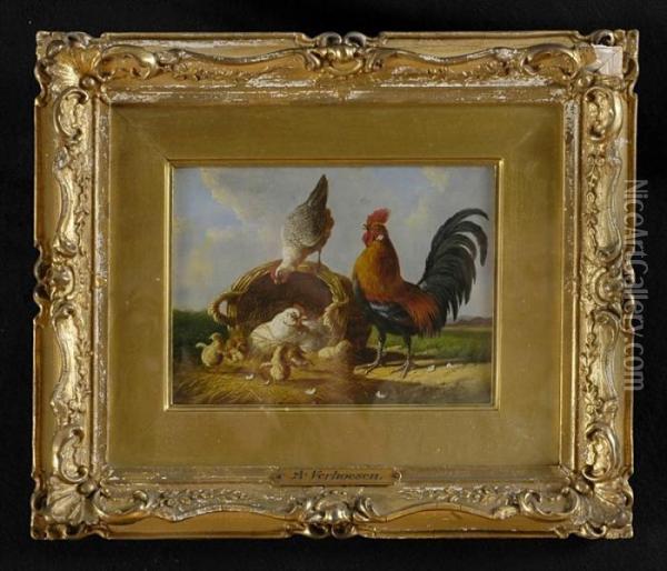 Poultry In The Yard Oil Painting - Albertus Verhoesen