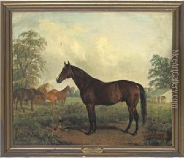 Waverly, By Australian Out Of Cicley Jopson Oil Painting - Edward Troye