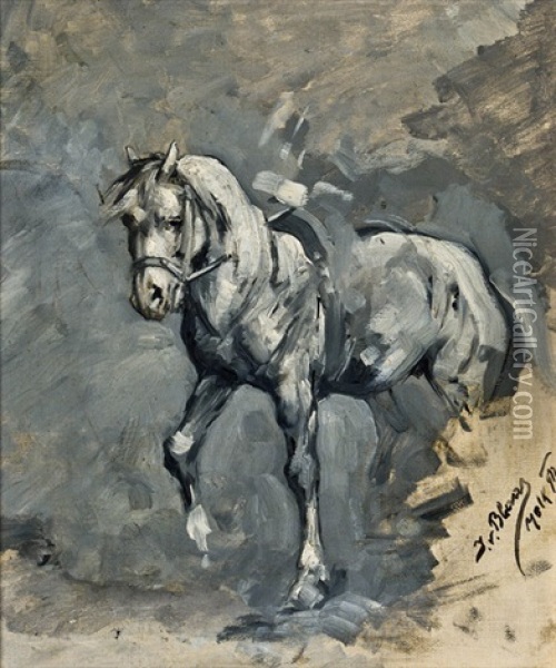 Pferd (study) Oil Painting - Julius von Blaas