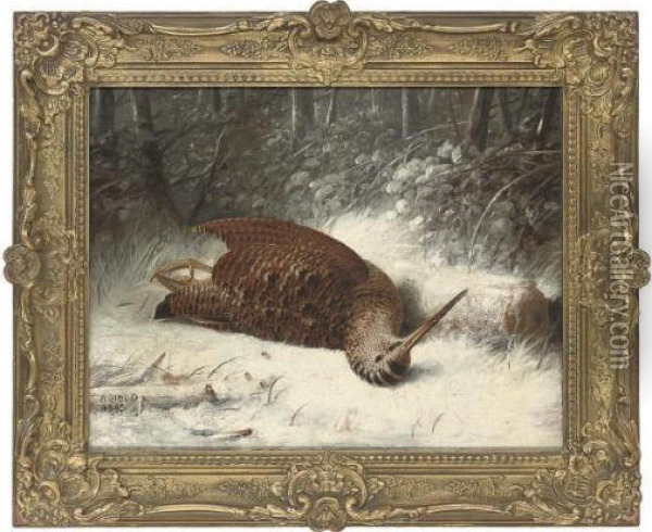 A Woodcock In The Snow Oil Painting - Abel Hold