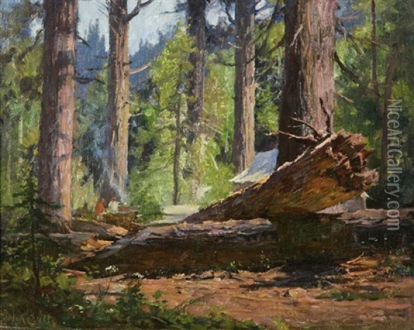 Camp At Tahoe Oil Painting - Gordon Coutts