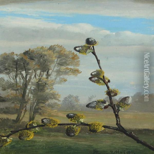 Willow Branch In Blossom Oil Painting - Niels Peter Rasmussen