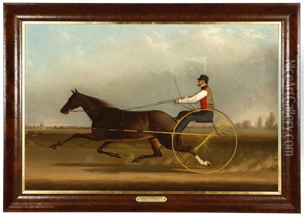 A Trotter And Sulky Oil Painting - James J. Mcauliffe
