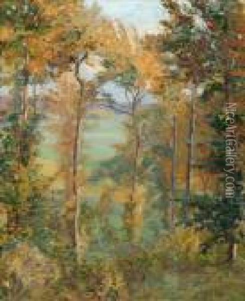 Wooded Landscape At Tibermont, Neuville Les Dieppes Oil Painting - Spencer Frederick Gore