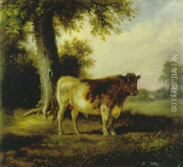 Der Weissbraune Stier Oil Painting - Friedrich Wilhelm Pfeiffer