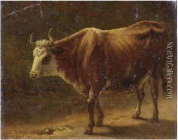 Toro Oil Painting - Jacques Raymond Bracassat