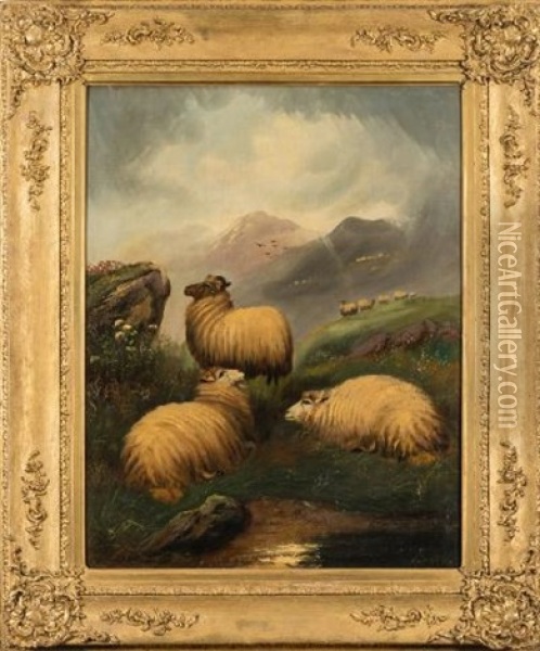 Sheep In The Highlands Oil Painting - John W. Morris