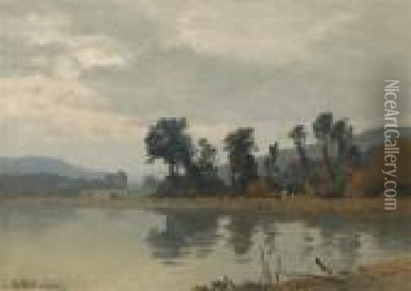 View Of The Peninsula At Walterskirchen Oil Painting - Josef Willroider