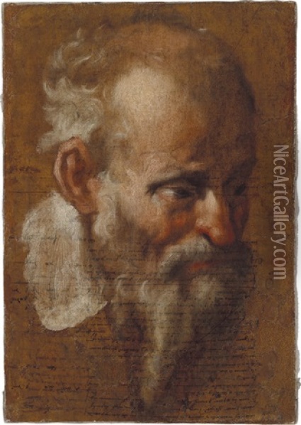 Kopf Eines Bartigen Alten Mannes Oil Painting - Annibale Carracci