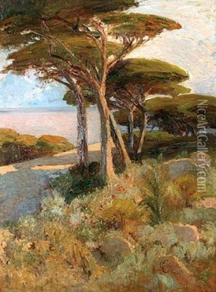 Paesaggio Mediterraneo Oil Painting - Onorato Carlandi